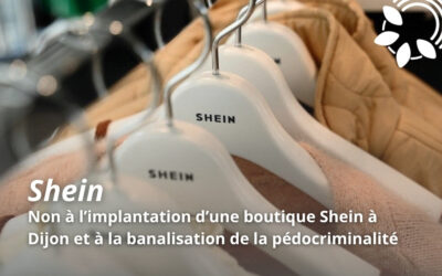 Non à l’implantation d’une boutique Shein à Dijon et à la banalisation de la pédocriminalité