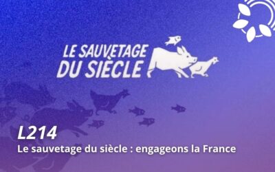 Le sauvetage du siècle : engageons la France
