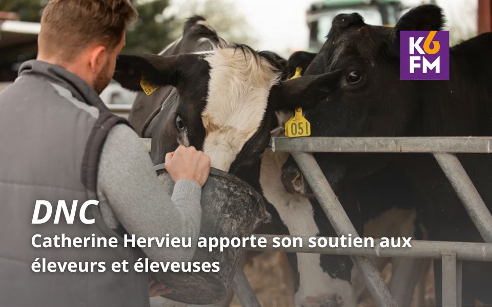 Dermatose nodulaire contagieuse