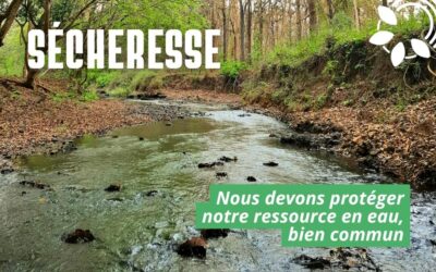 Face à l’urgence climatique, nous devons protéger notre ressource en eau, bien commun