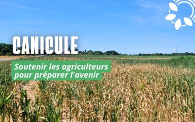 Canicules en Côte-d&rsquo;Or : soutenir les agriculteurs pour préparer l&rsquo;avenir