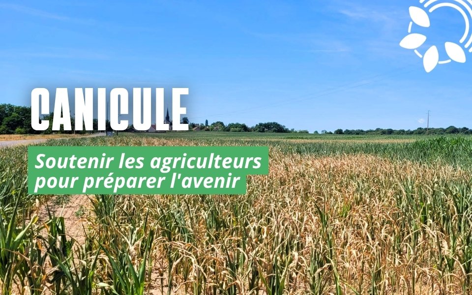 Canicules en Côte-d'Or : soutenir les agriculteurs pour préparer l'avenir